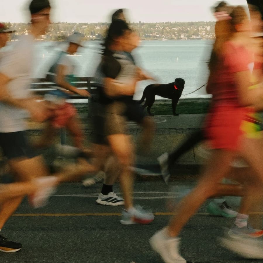Strava for Walking: 5 Apps That Actually Turn Walking Into a Social Event